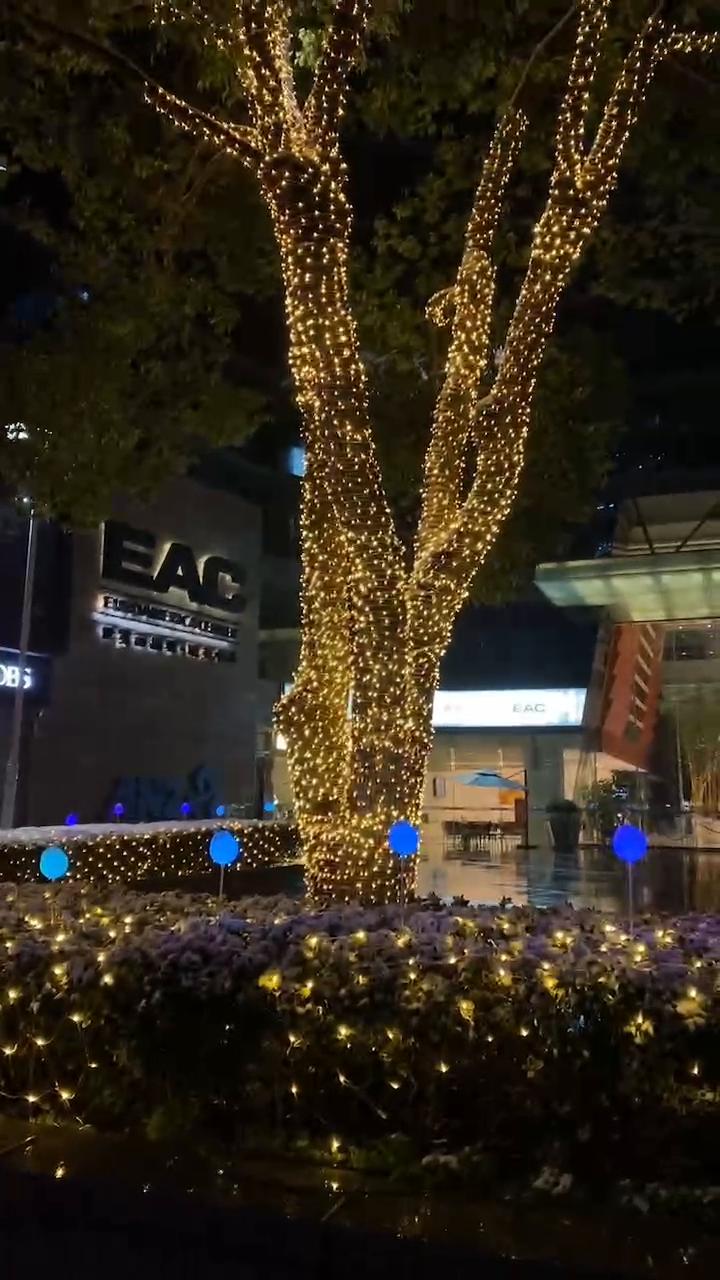 杭州 EAC商业综合体  树木亮化施工