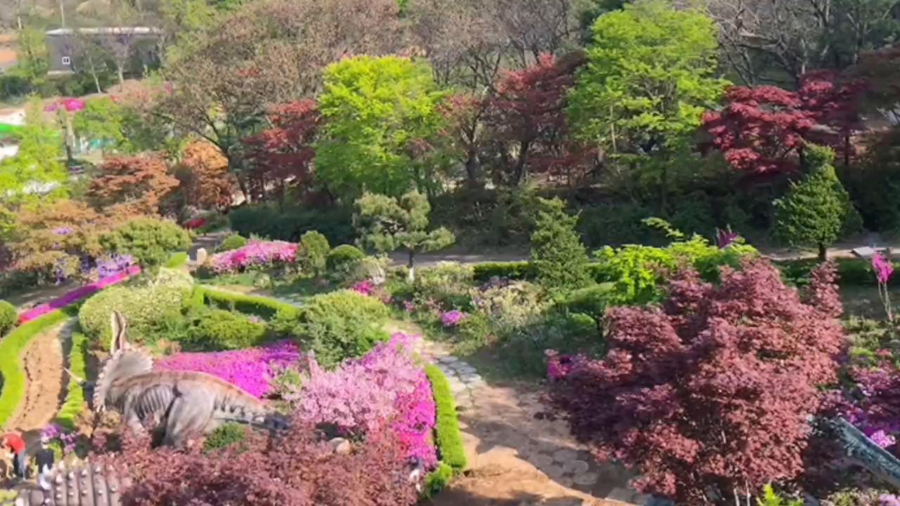 韩国室外大型景区恐龙主题公园科普教育研学