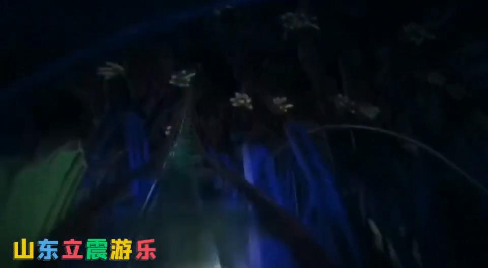 江西省赣州市安远县祥光中央公园