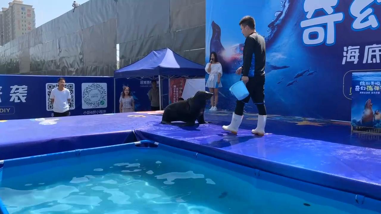 山西运城吾悦广场海洋节活动案例