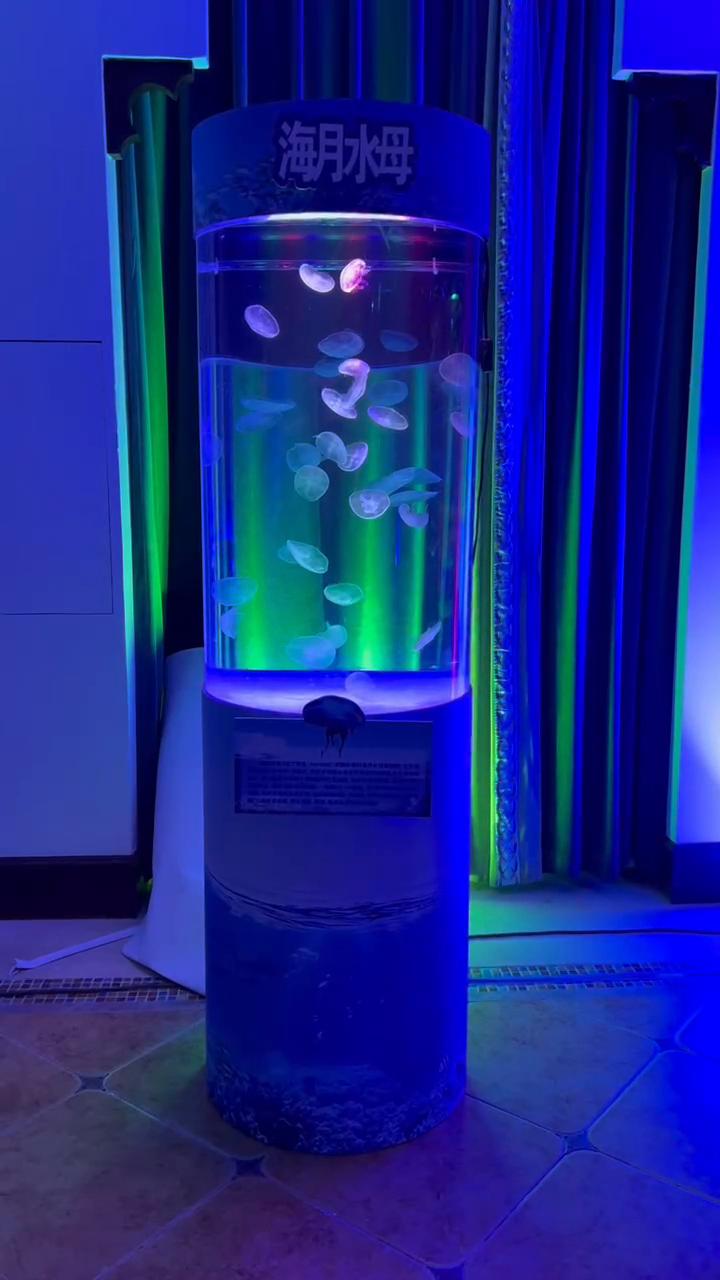 嘉兴平湖吾悦广场2周年水母嘉年华活动现场