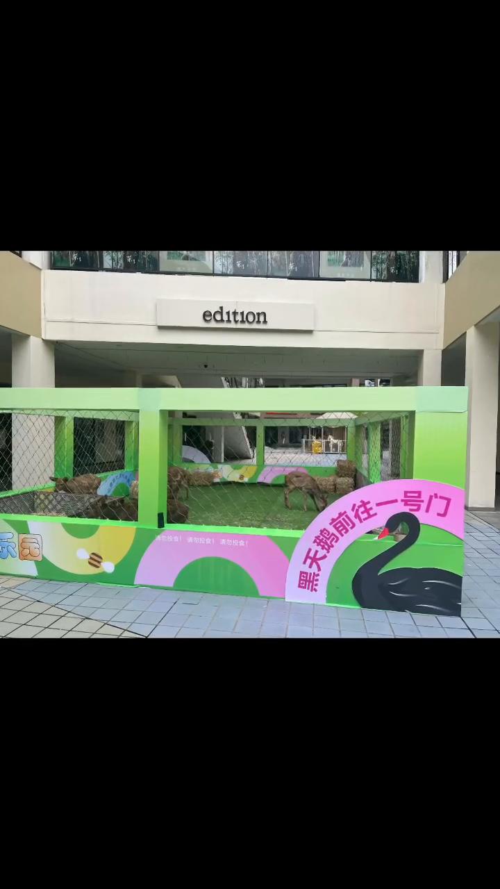 商业广场 宁波市 萌宠展