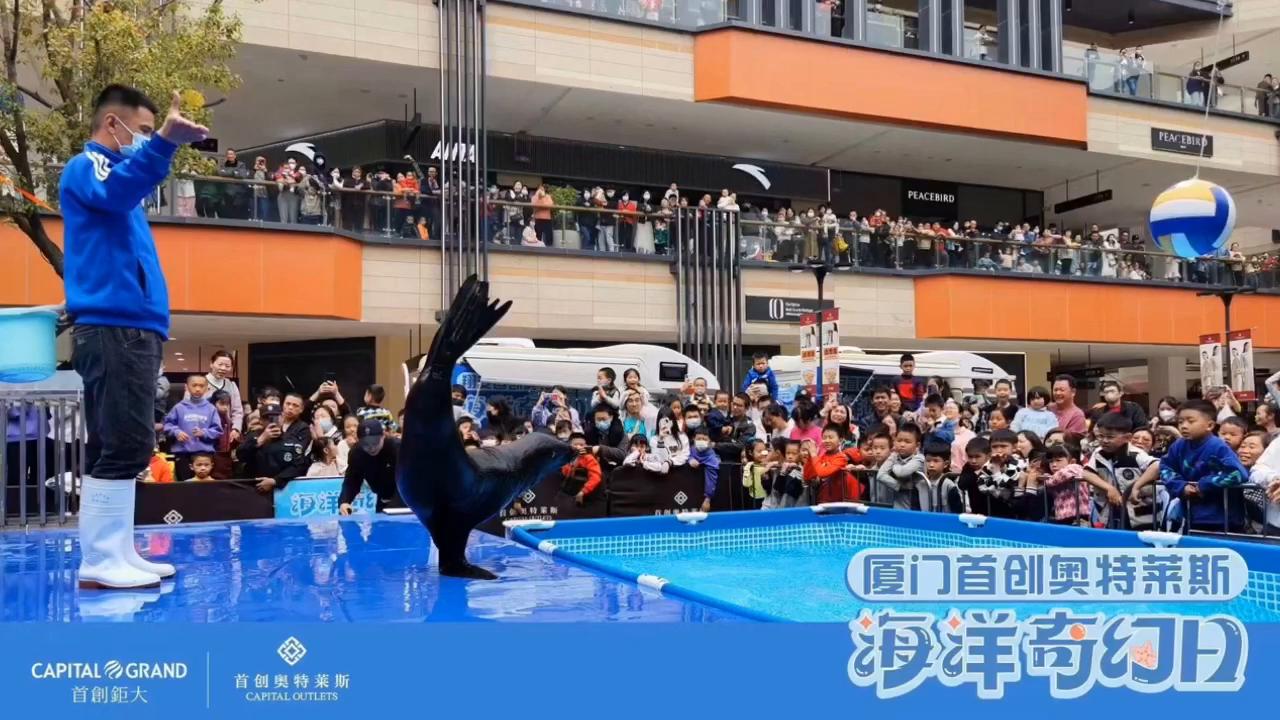 奥特莱斯 厦门市 海狮表演