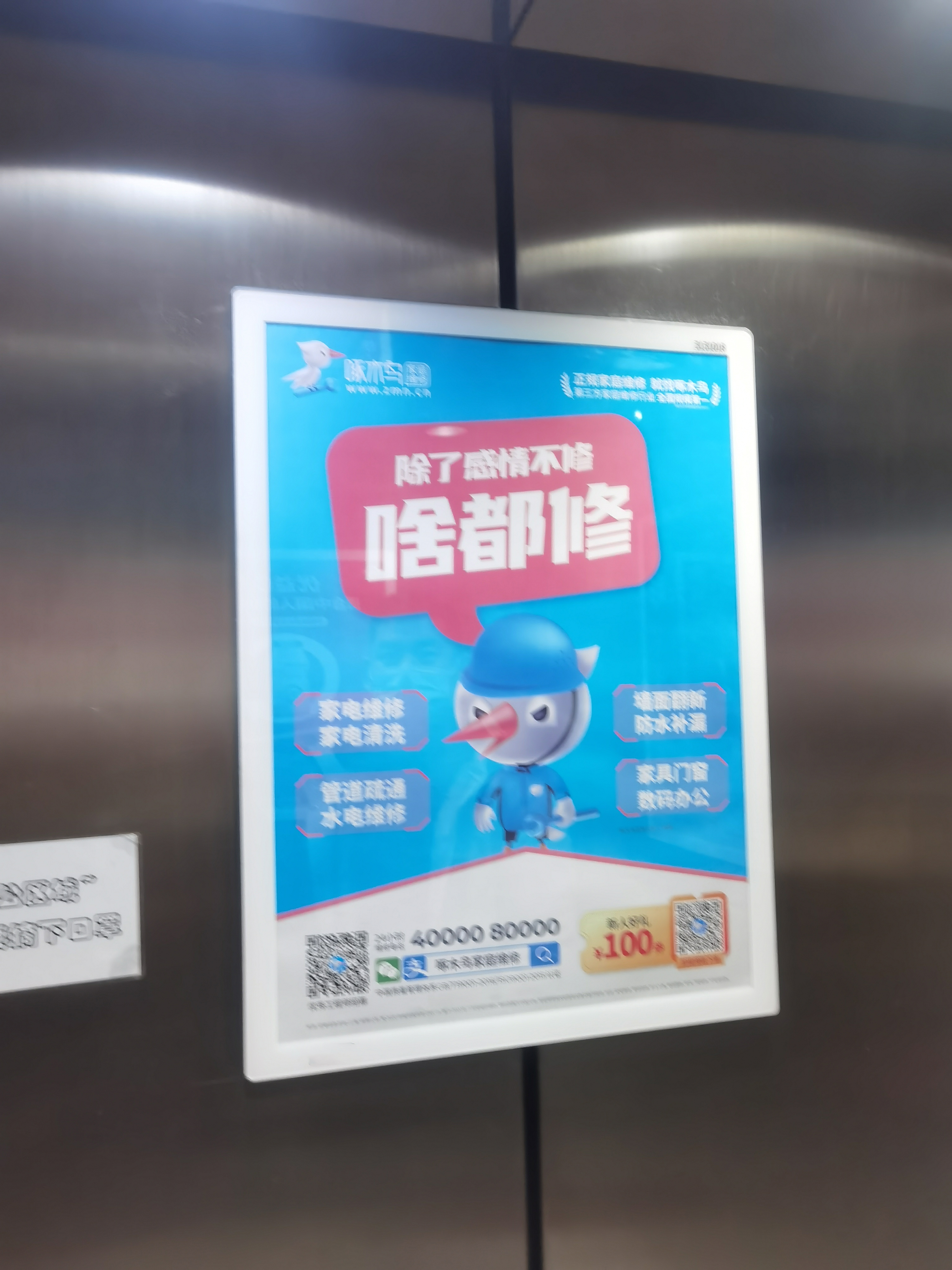 啄木鸟装修