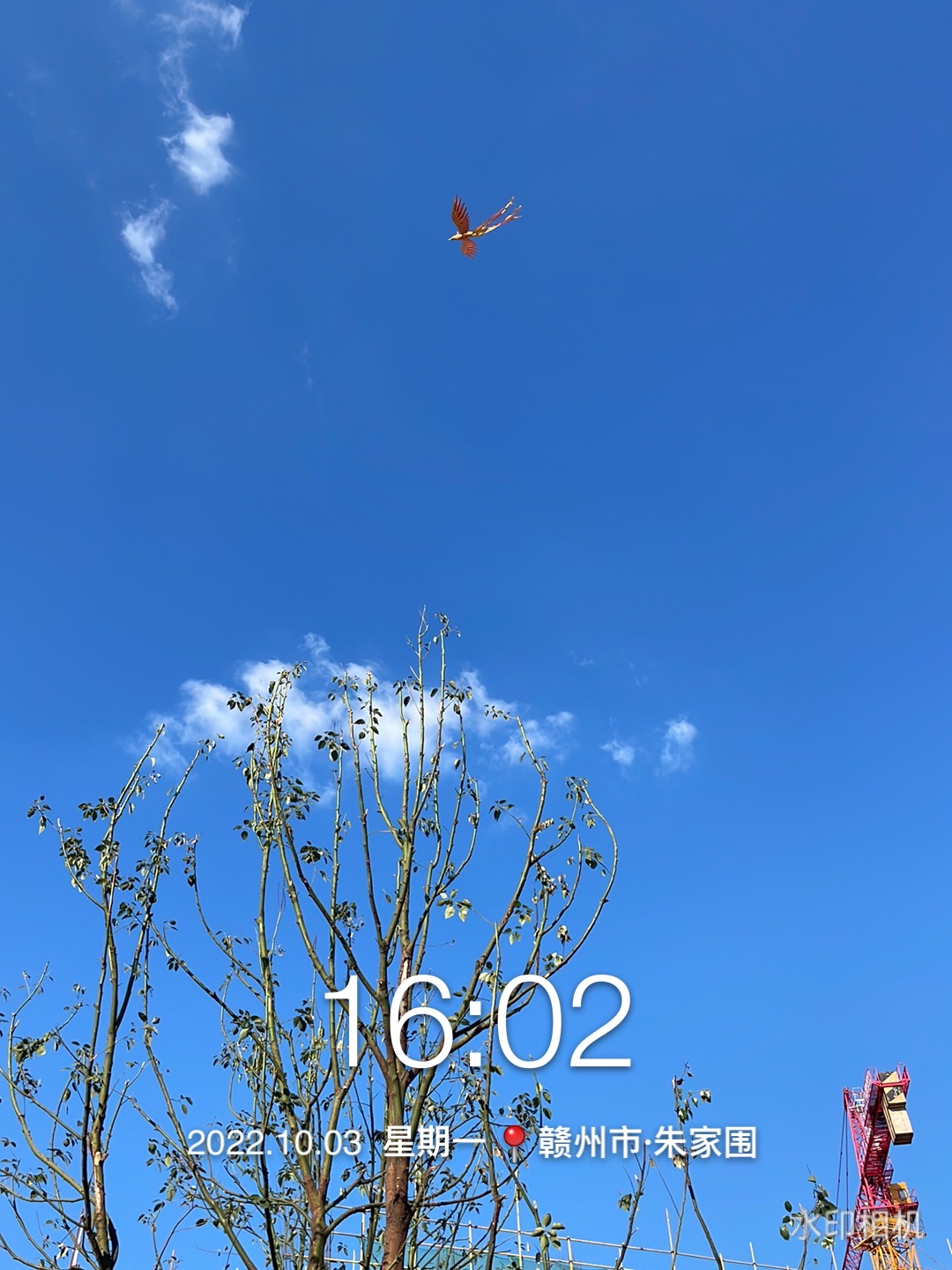 飞天凤凰，飞行凤凰，凤凰表演。