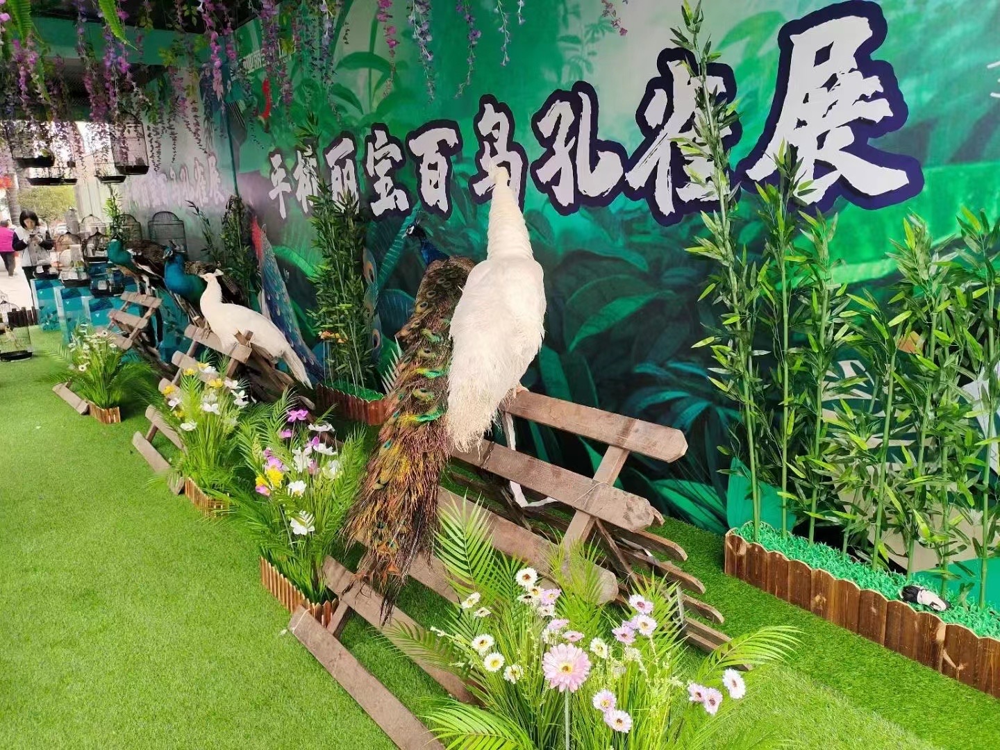 百鸟展宠物展萌宠孔雀羊驼海豚展览