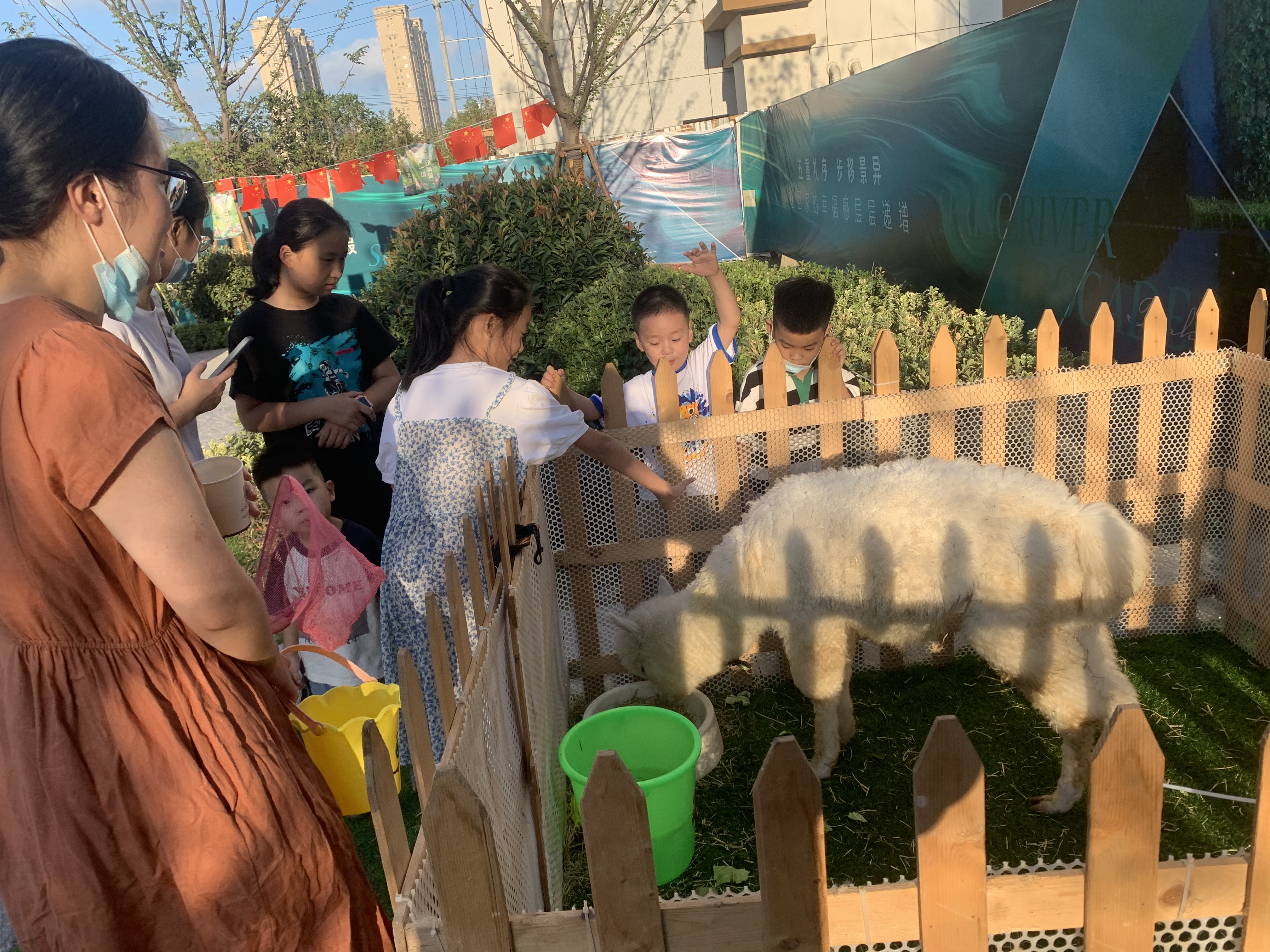 羊驼萌宠展租赁宠物展览出租