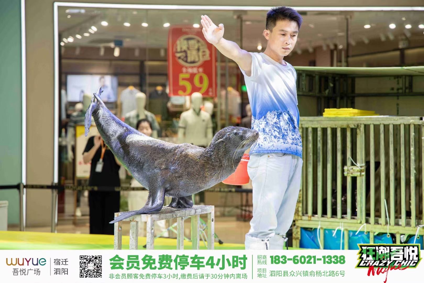 海狮表演出租海狮表演秀