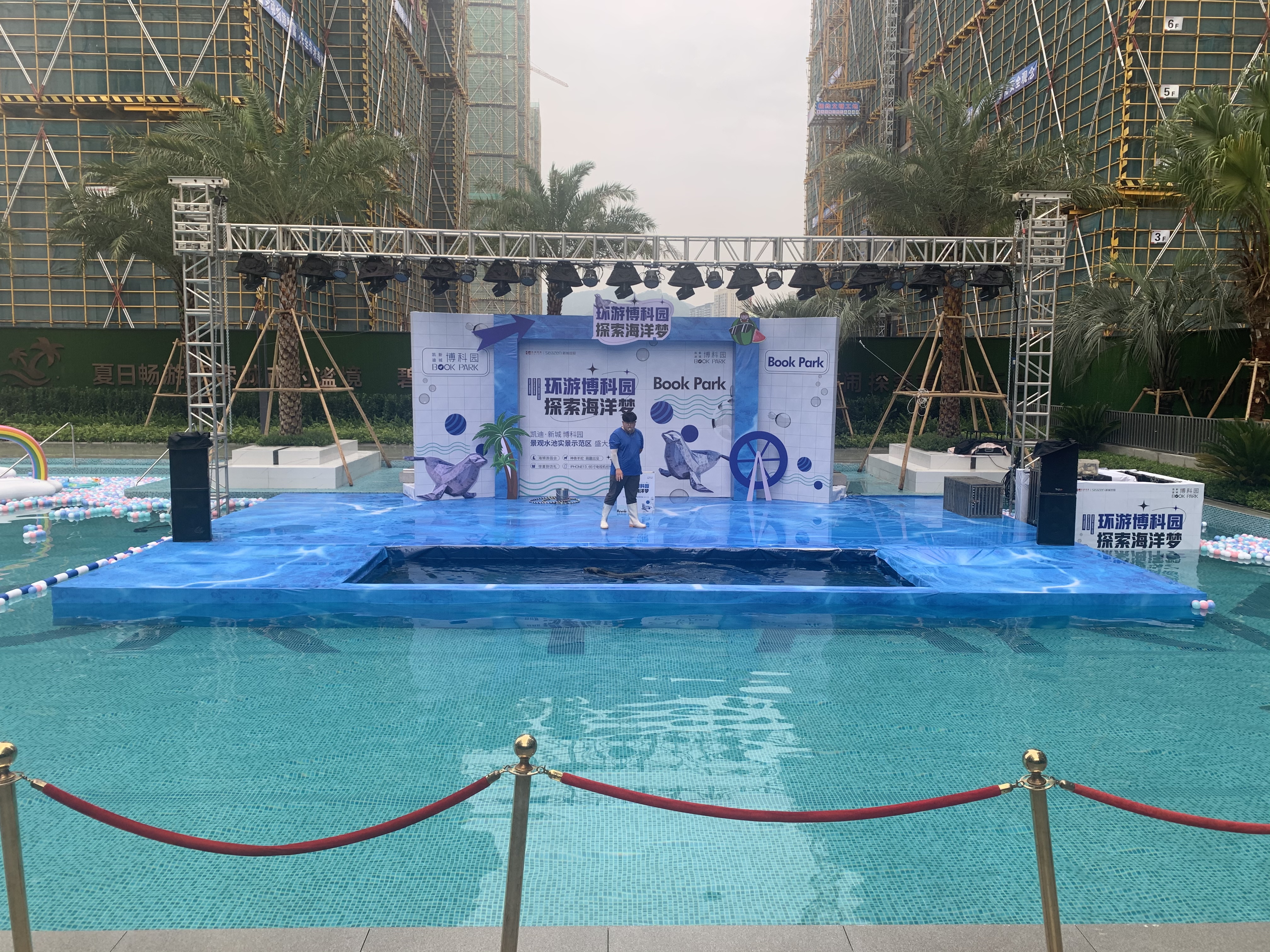 海狮表演出租海狮表演秀