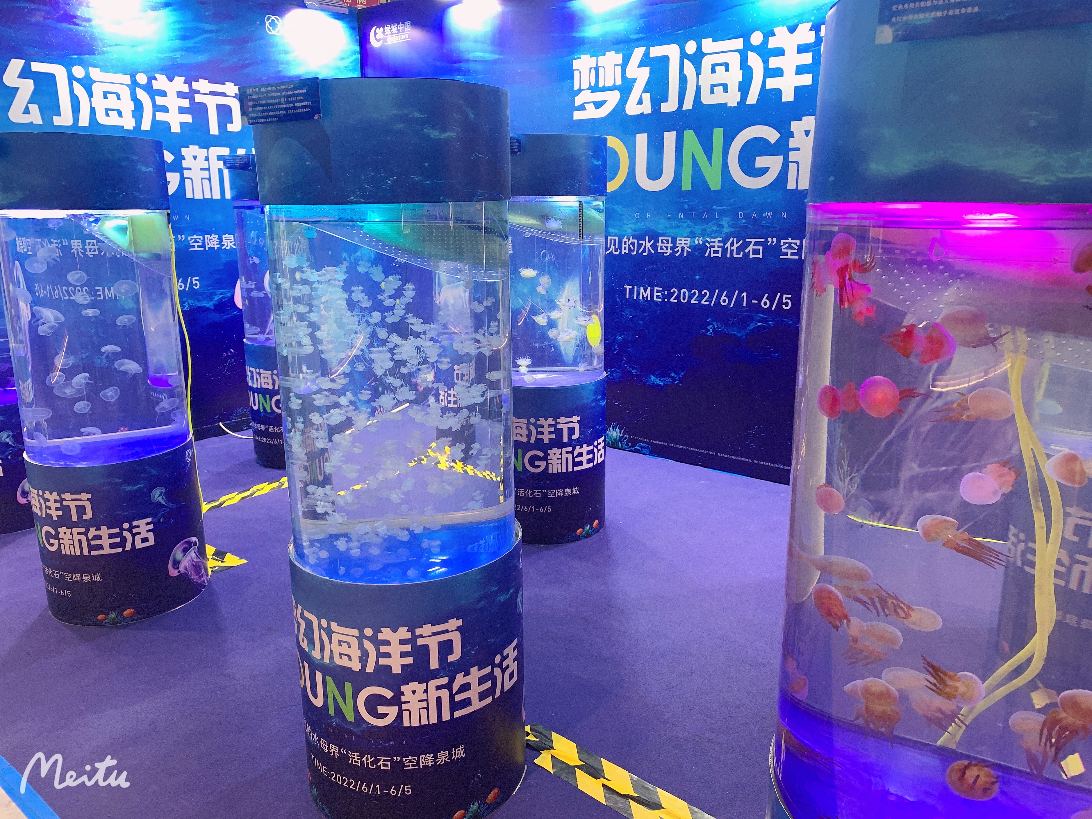海洋展租赁海洋生物展出租