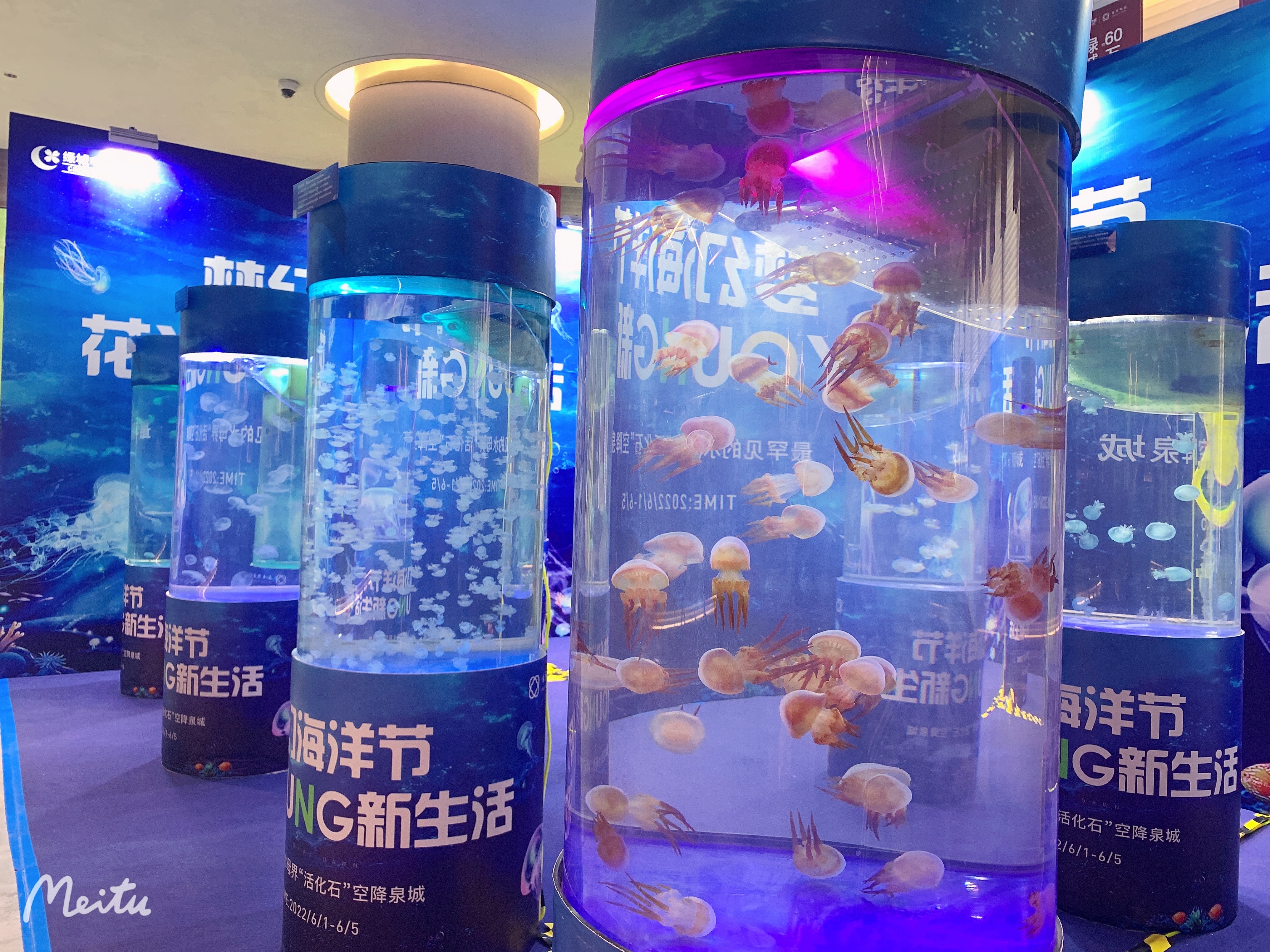 海洋展租赁海洋生物展出租