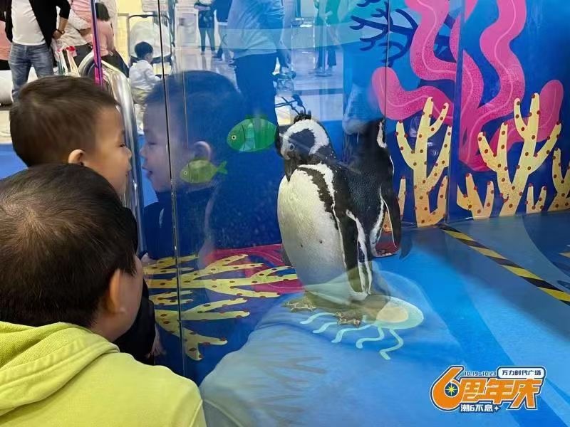 动物主题萌宠出售租赁