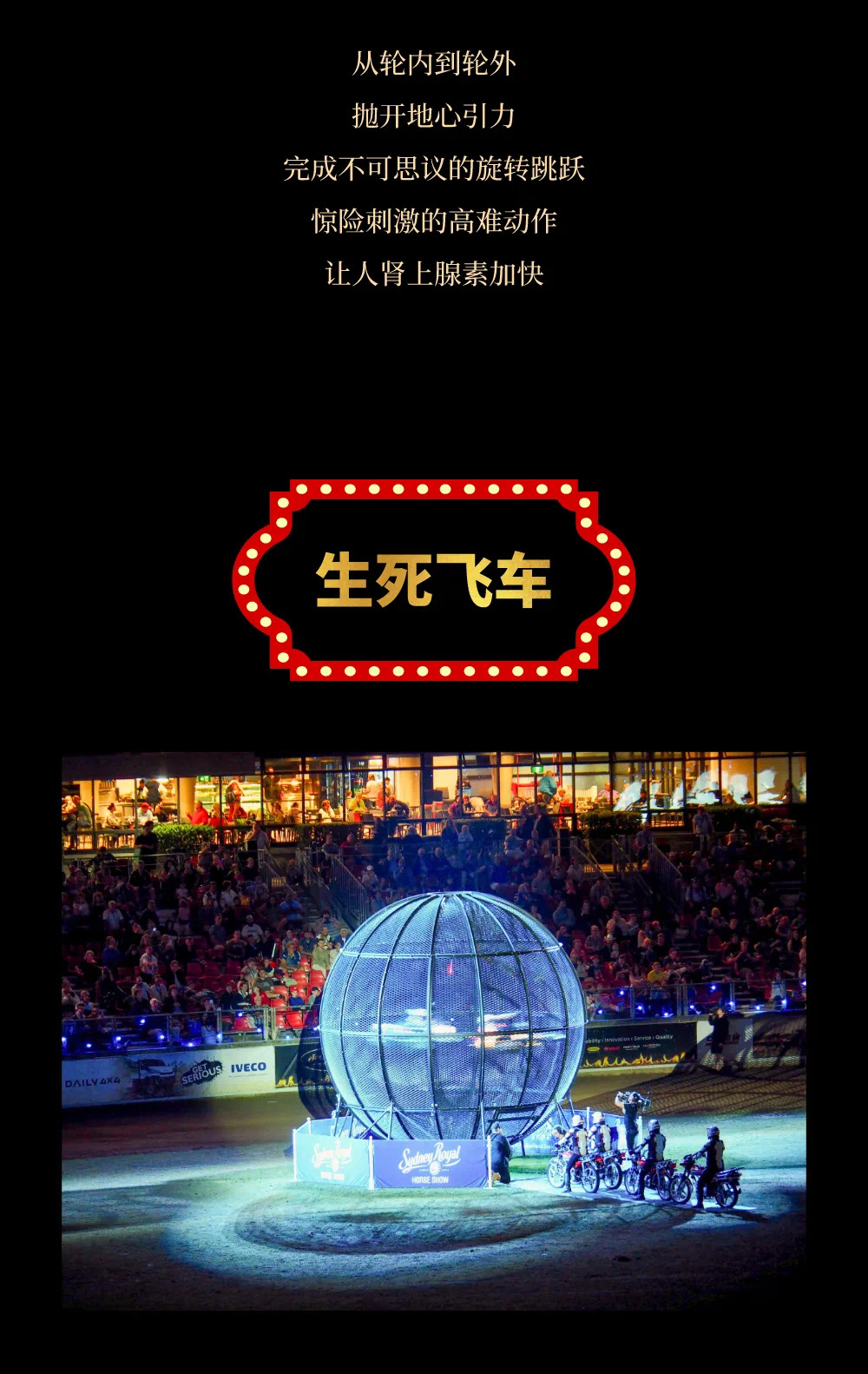 环球飞车表演