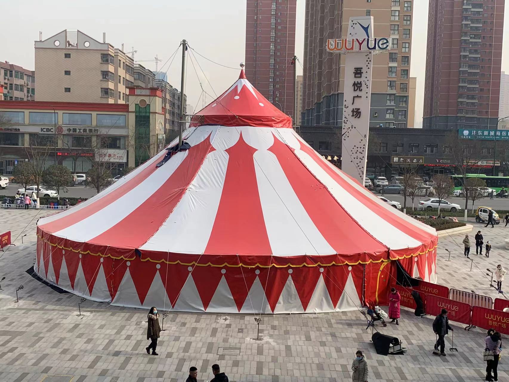 马戏团动物表演