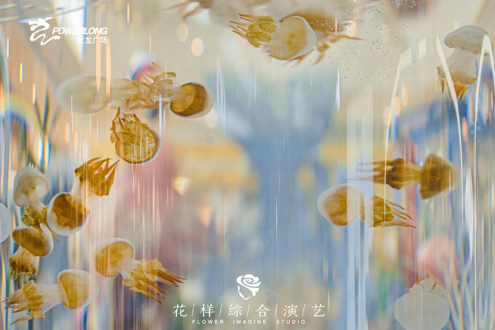 海洋展示出租海洋生物展租赁