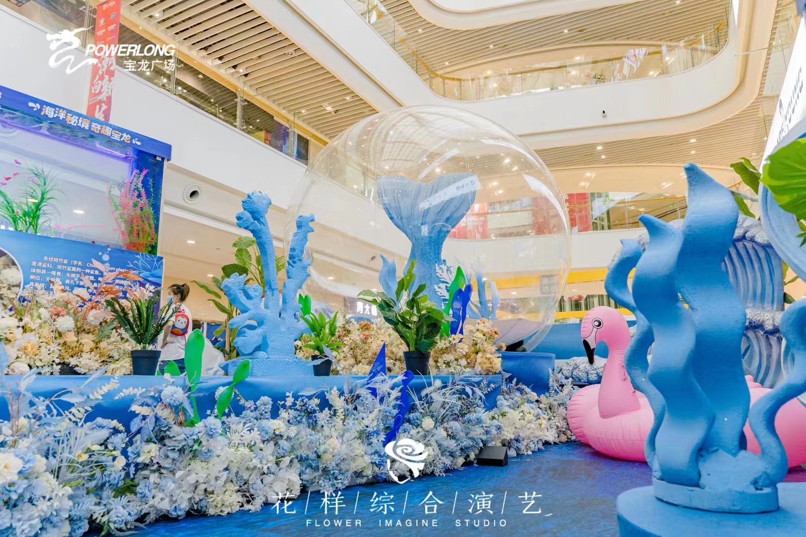 海洋展示出租海洋生物展租赁