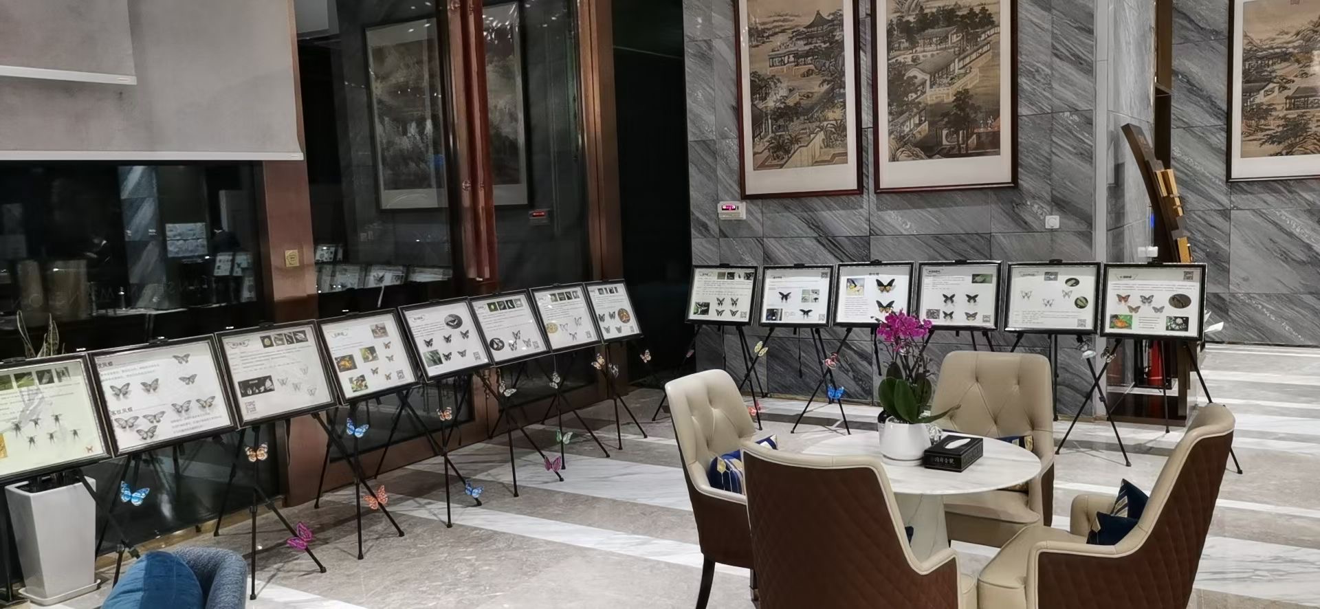 活体蝴蝶，蝴蝶标本展