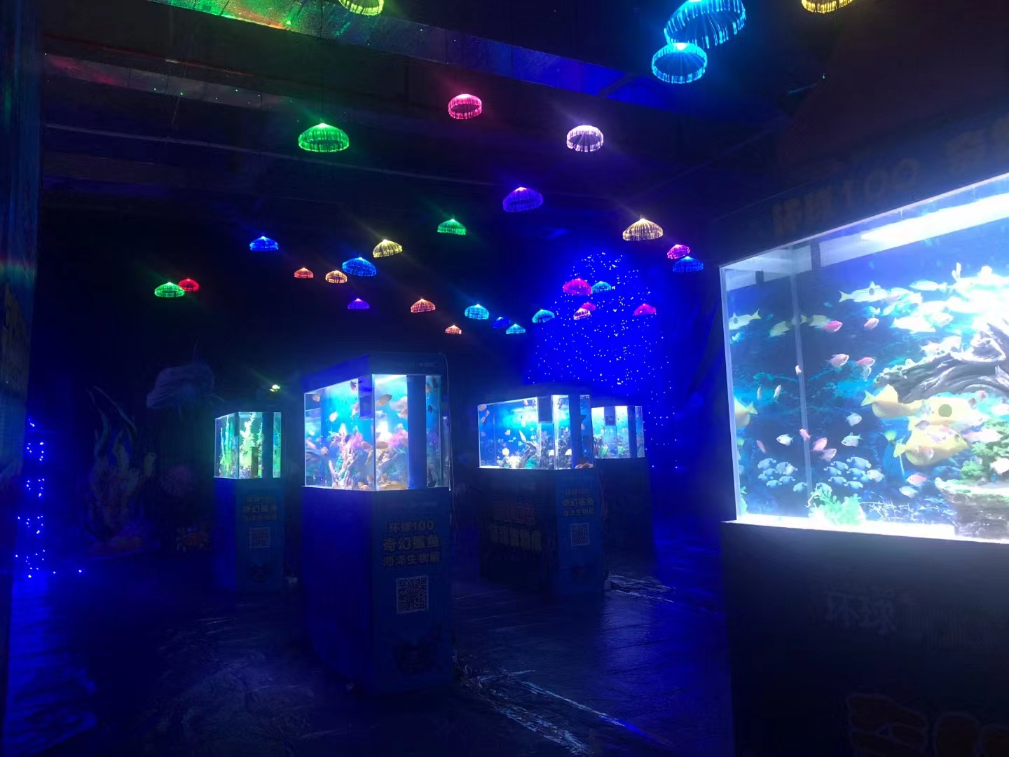 海洋科普知识展