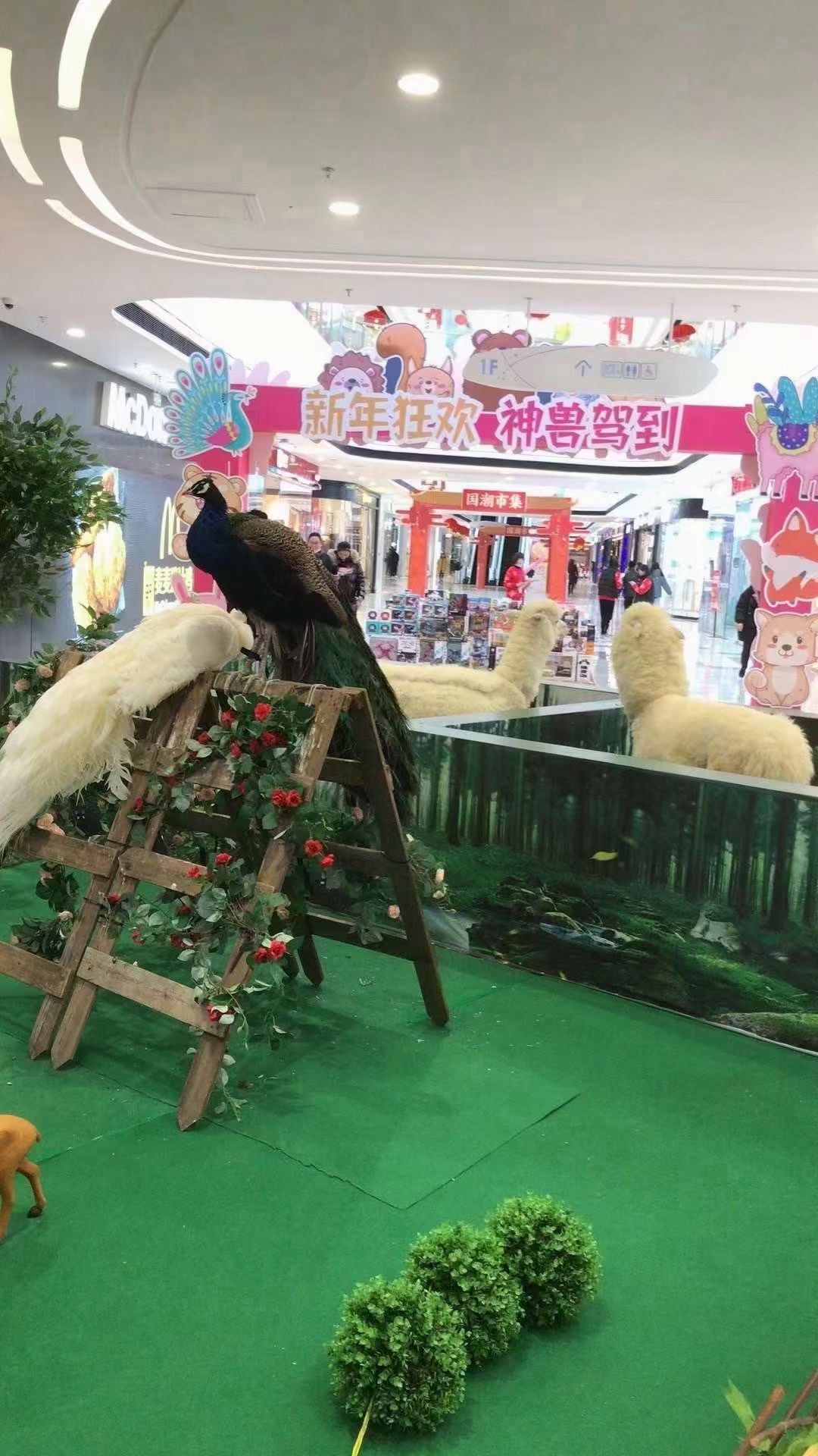 羊驼萌宠展动物展览出租