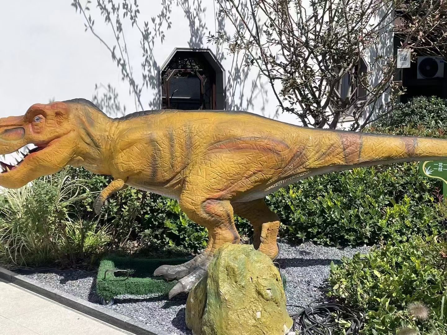 恐龙展侏罗纪恐龙