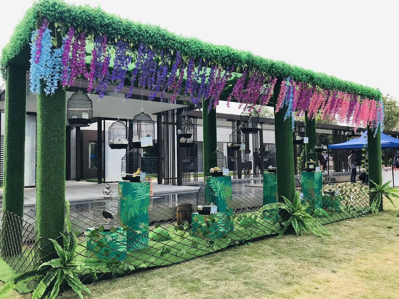 百鸟展出租百鸟朝凤展