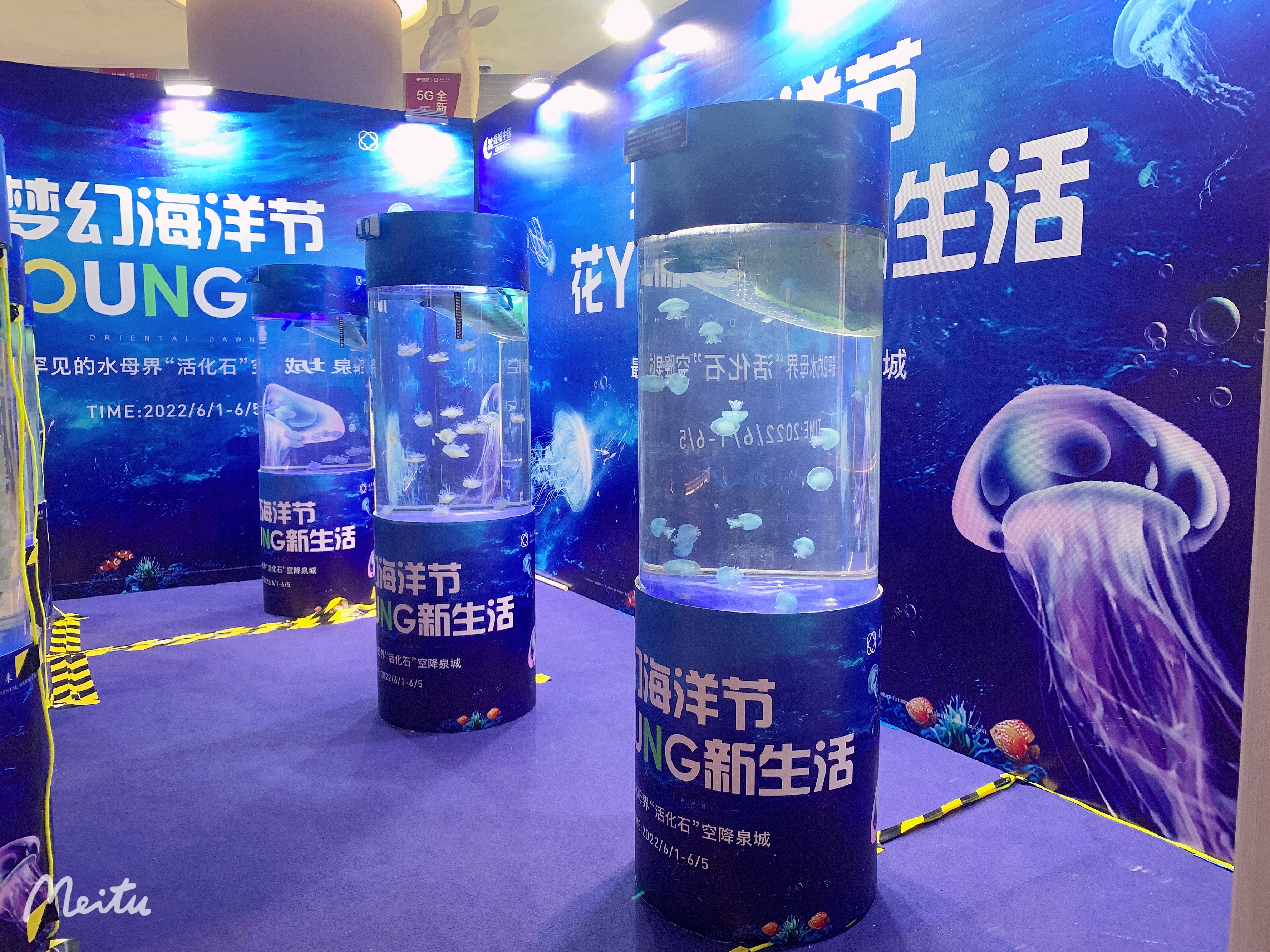 海洋展出租海洋生物展租赁海底世界