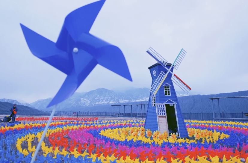 风车展 风车节