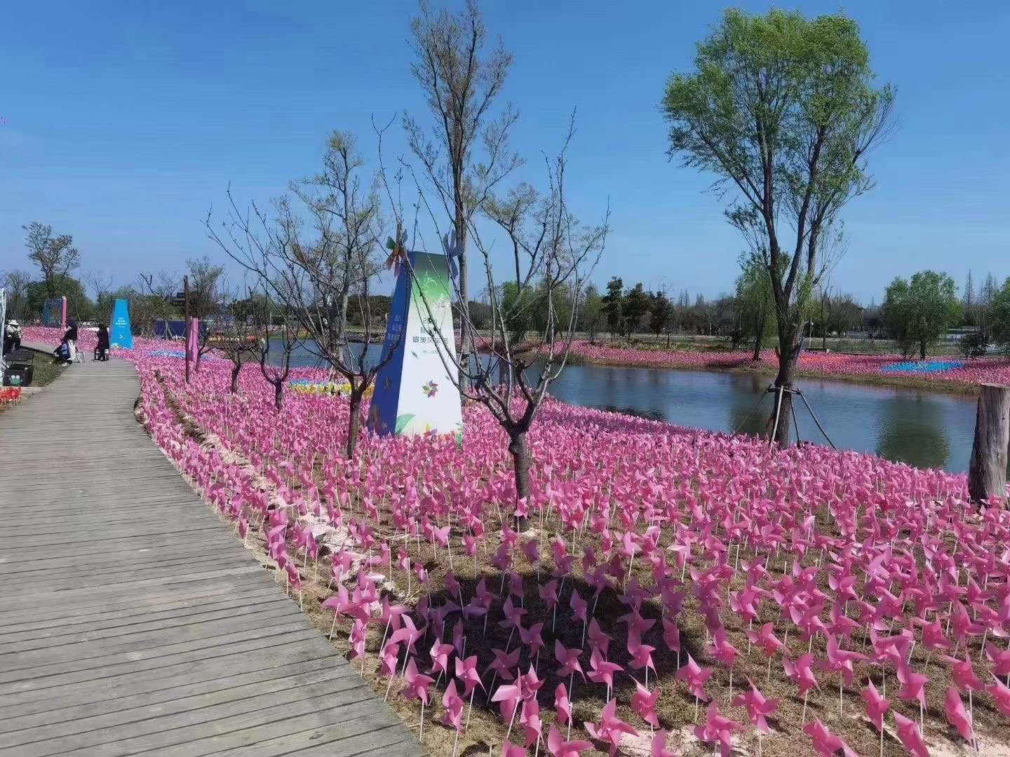 风车展 风车节
