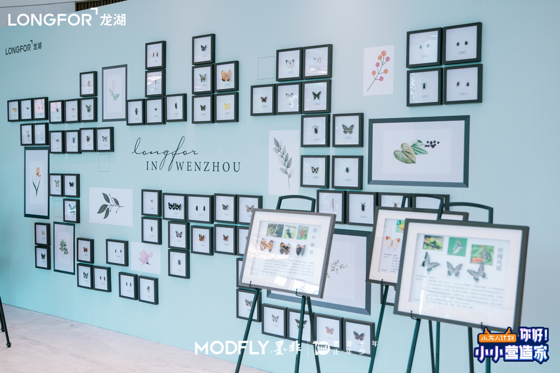 春季蝴蝶展昆虫展，标本活体多种类