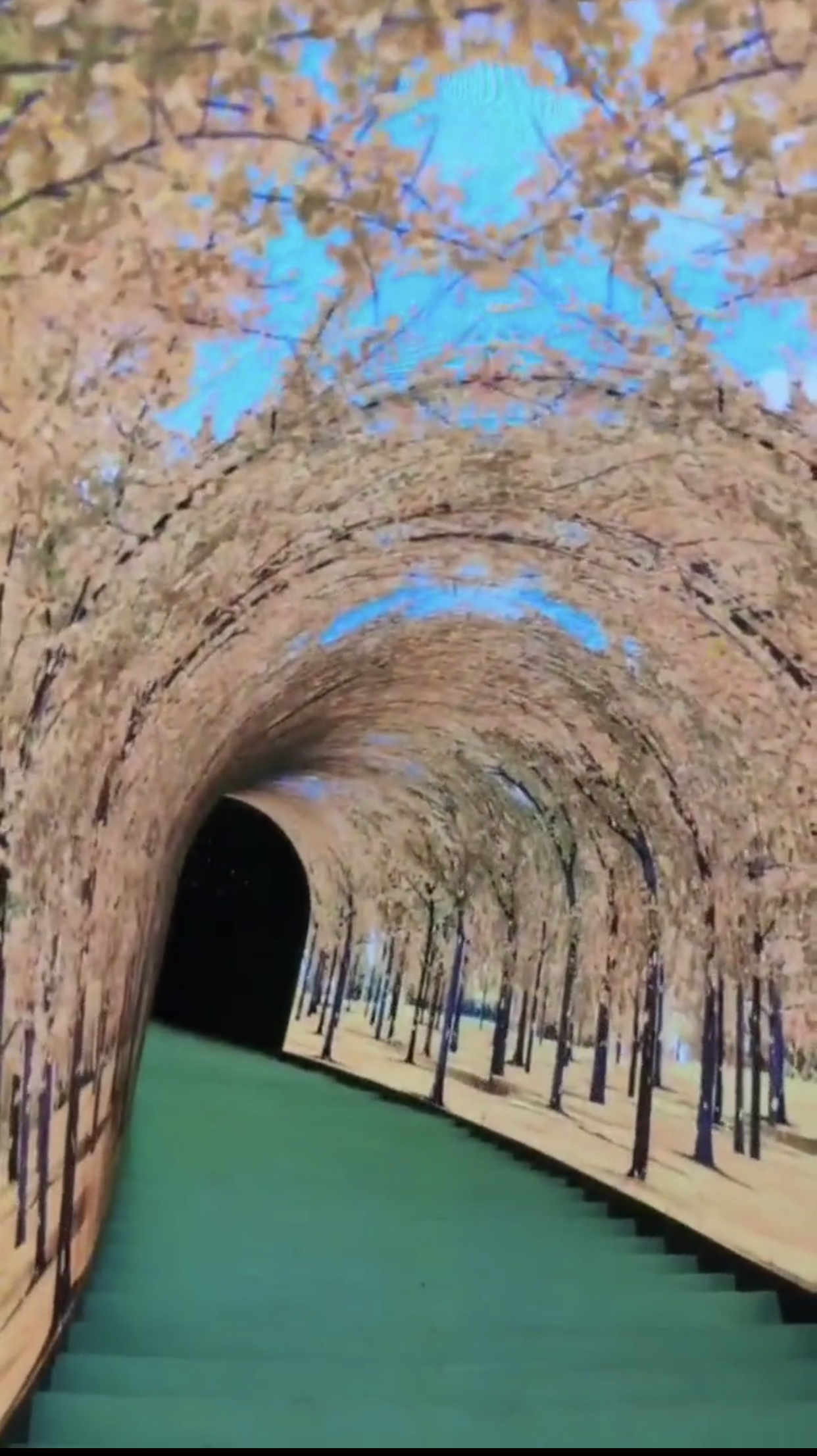 四季隧道 隧道屏 时空隧道 光影