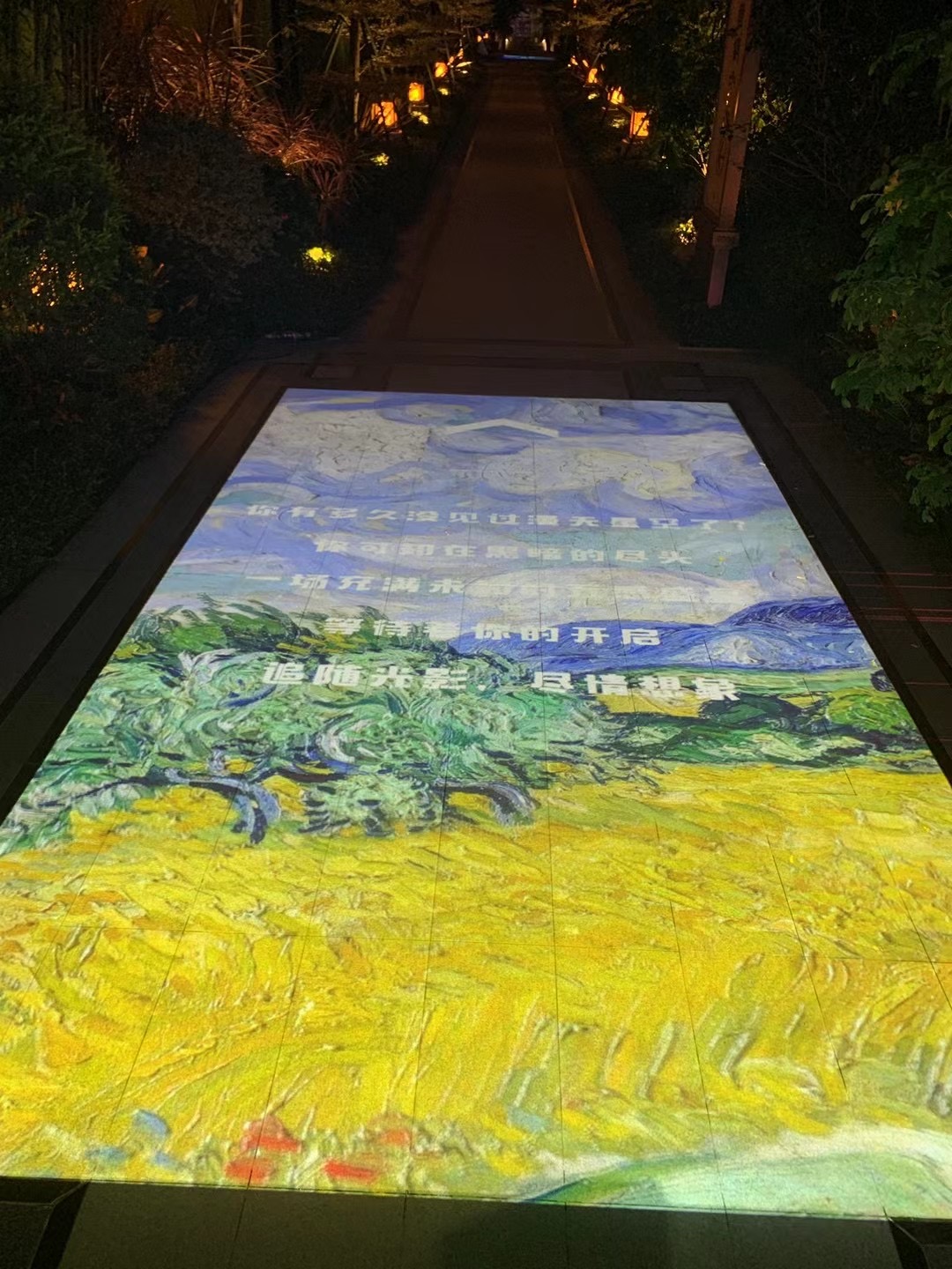 梵高展-梵高画-光影艺术-艺术灯光-投影