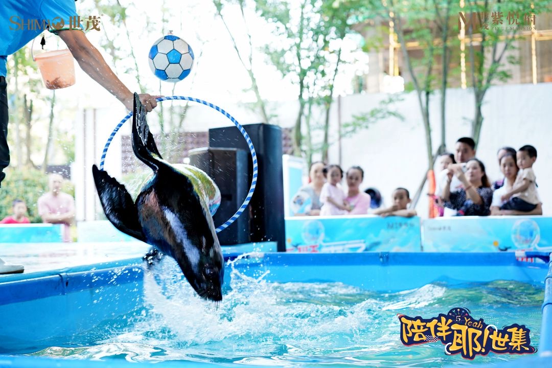 海狮表演