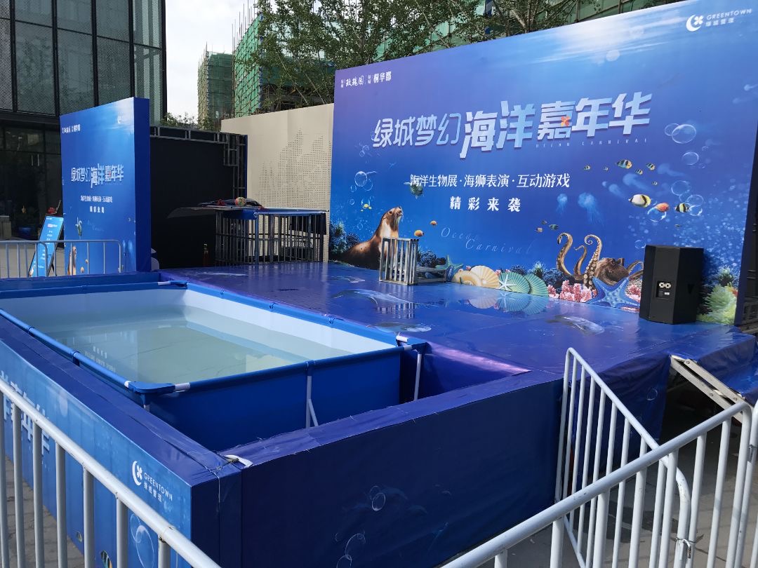 海狮表演