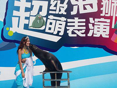 海狮表演