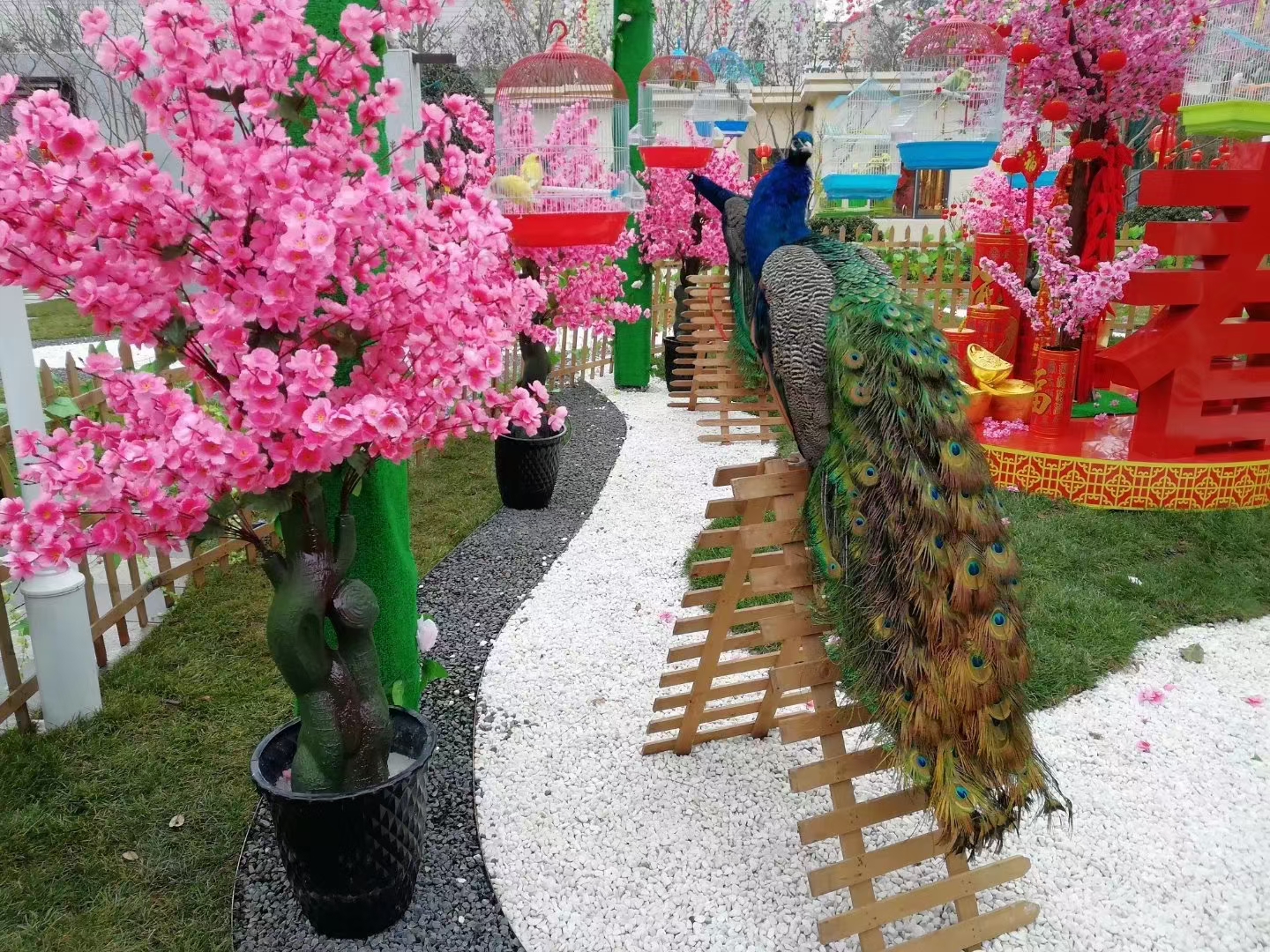 羊驼萌宠展，动物展景区商场暖场活动