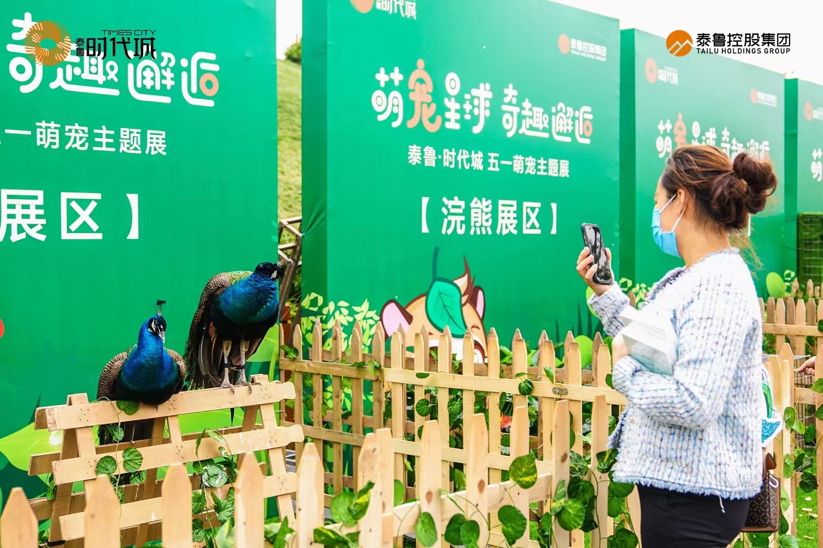 羊驼萌宠展，动物展景区商场暖场活动