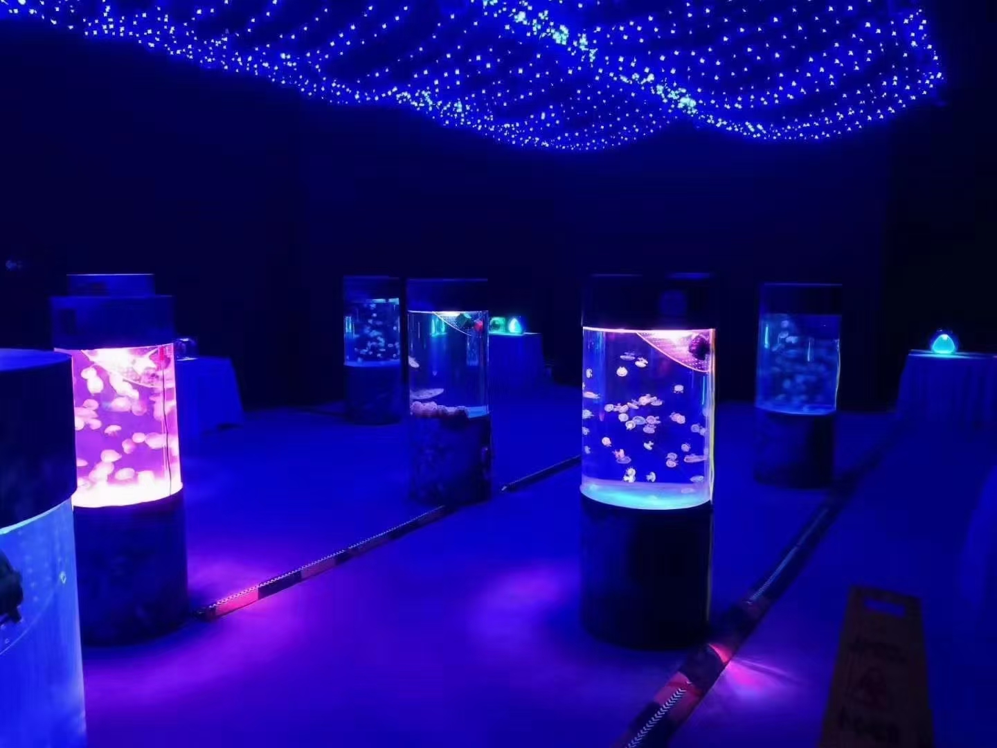 海洋生物鱼缸展，海狮表演，美人鱼表演
