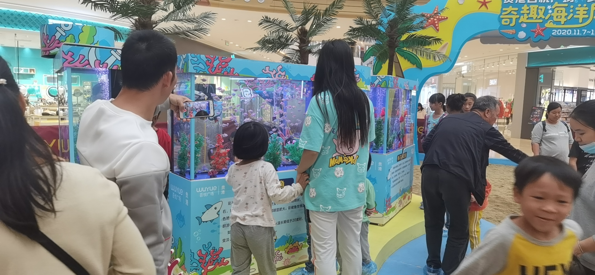 海洋生物鱼缸展，海狮表演，美人鱼表演