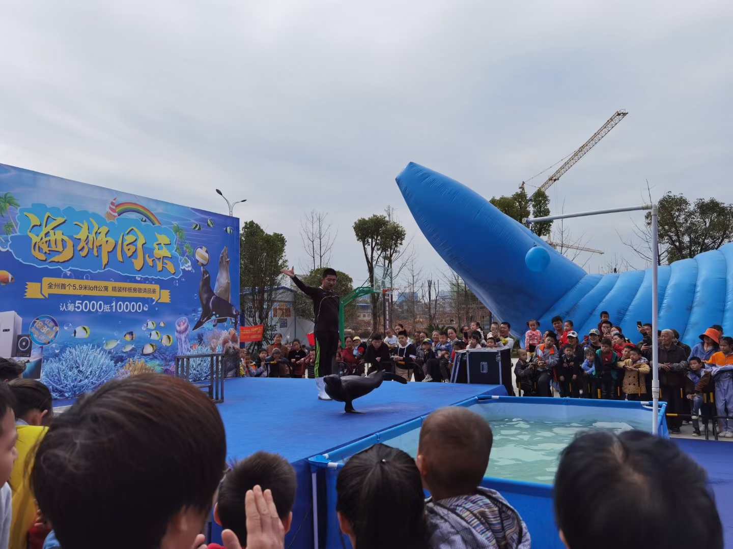 海洋生物鱼缸展，海狮表演，美人鱼表演
