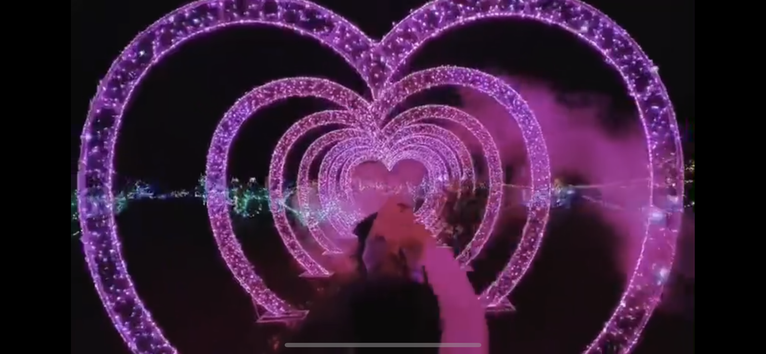 灯光节 光影