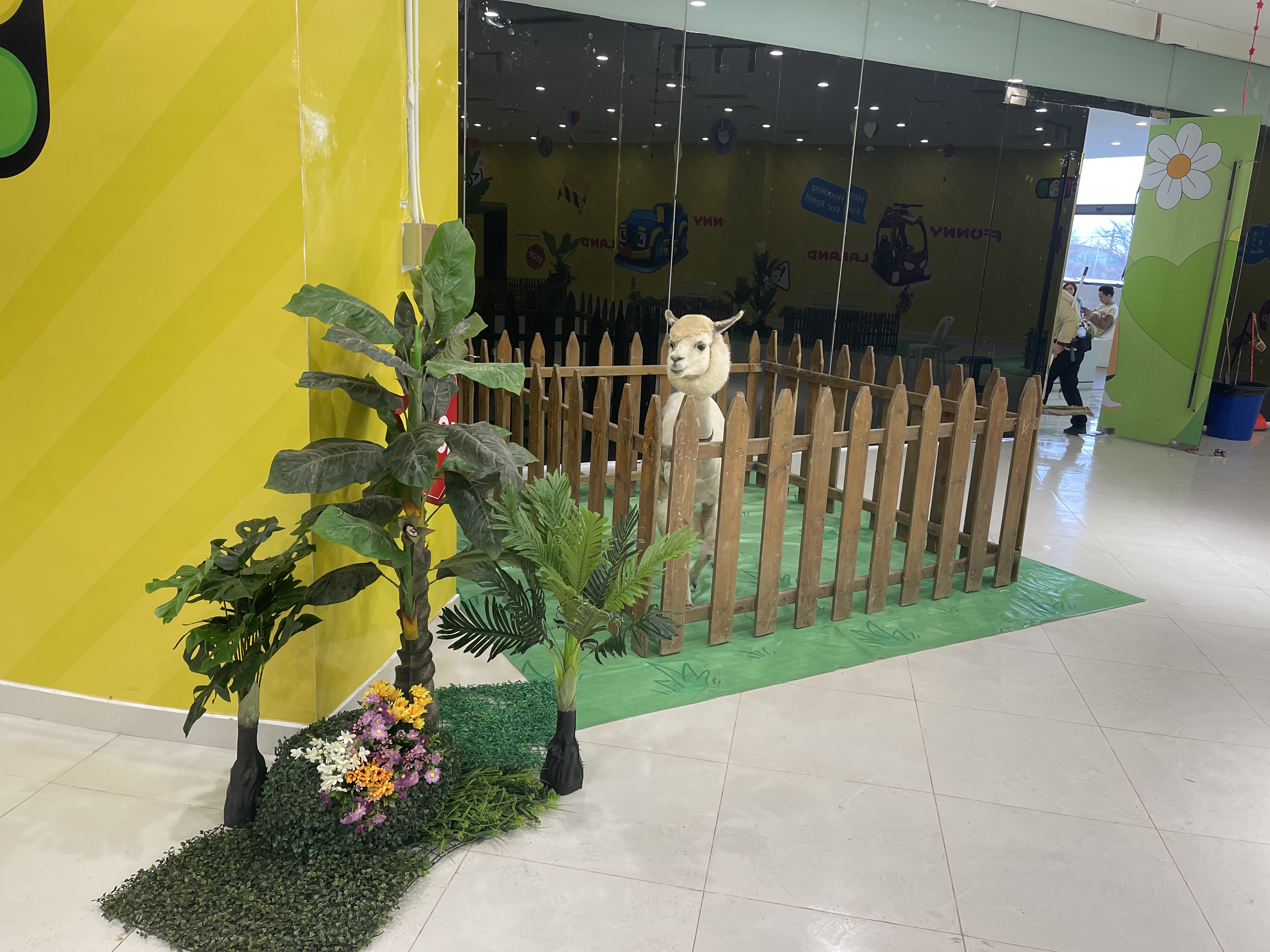 萌宠展览