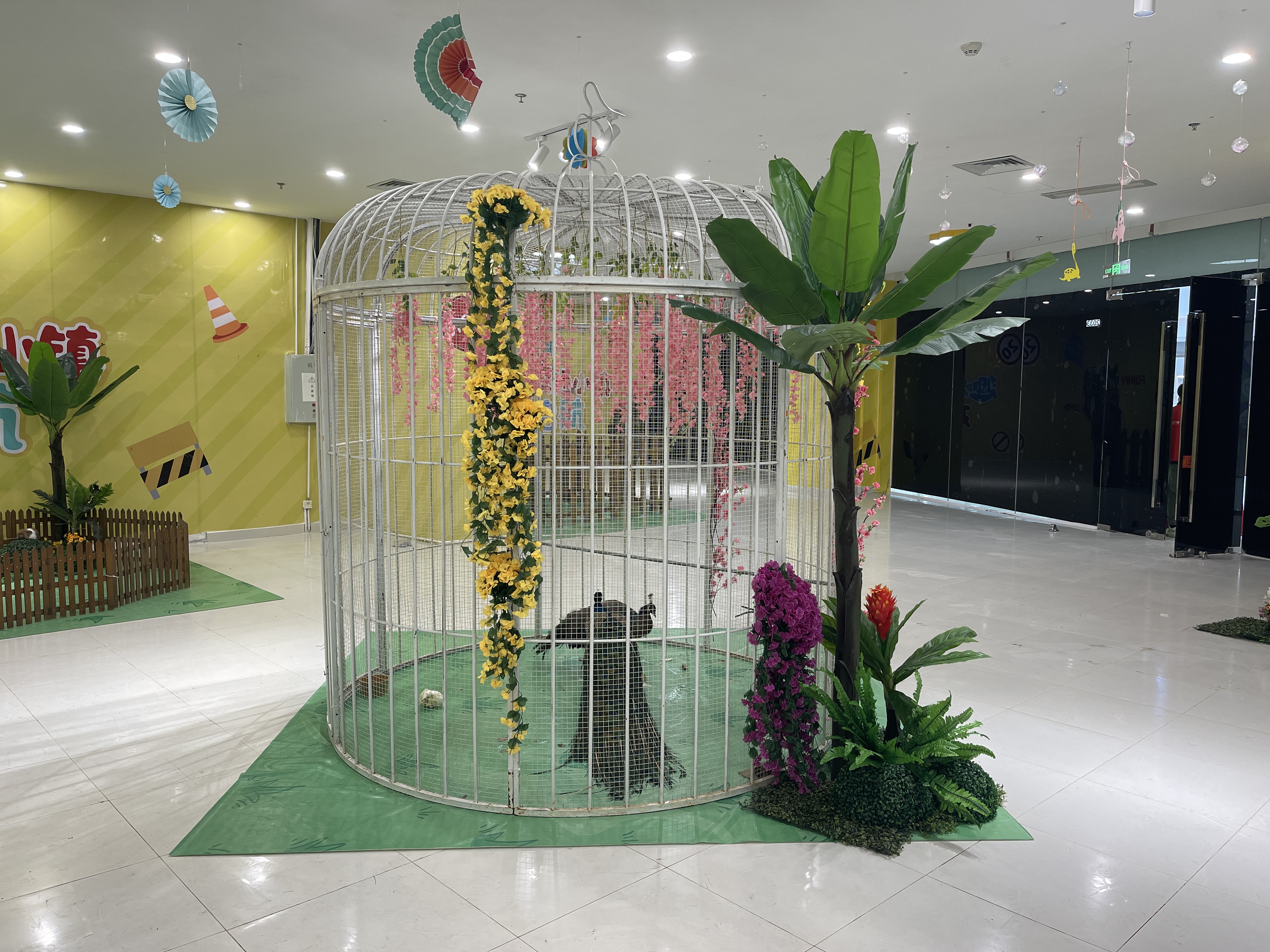 萌宠展览