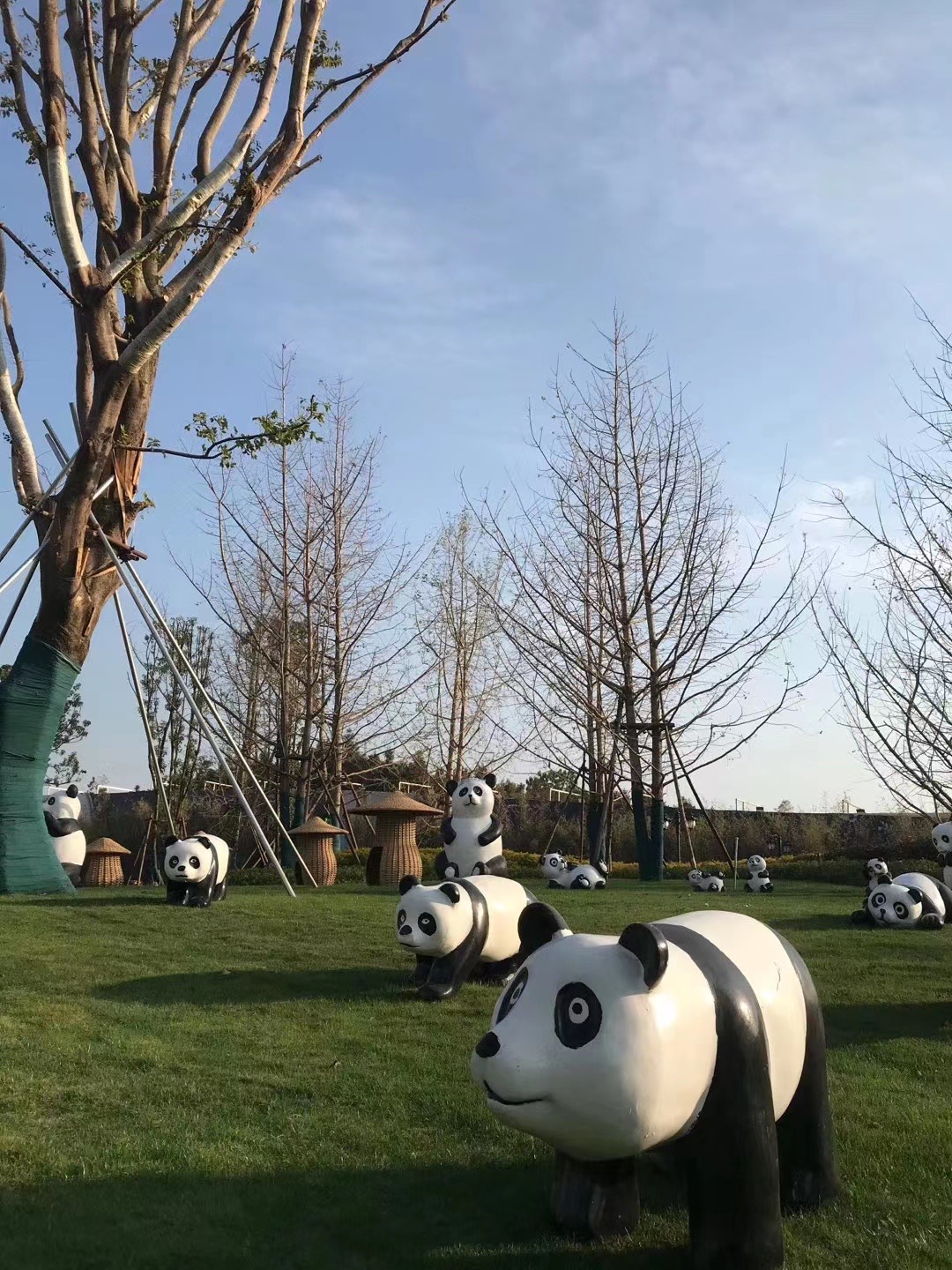 熊猫展