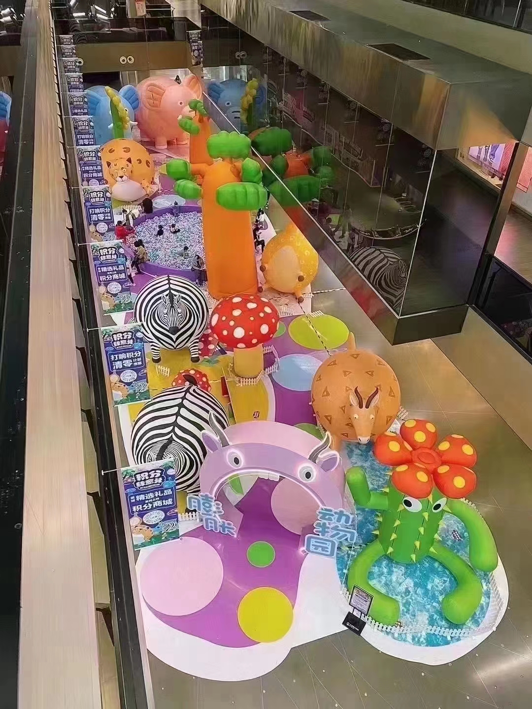 膨胀动物园