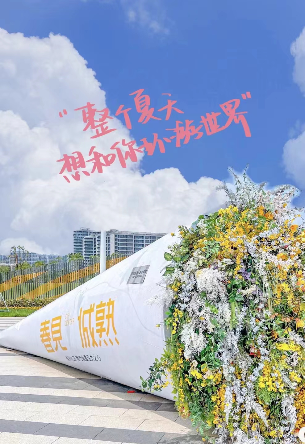 巨型花束，玫瑰花束