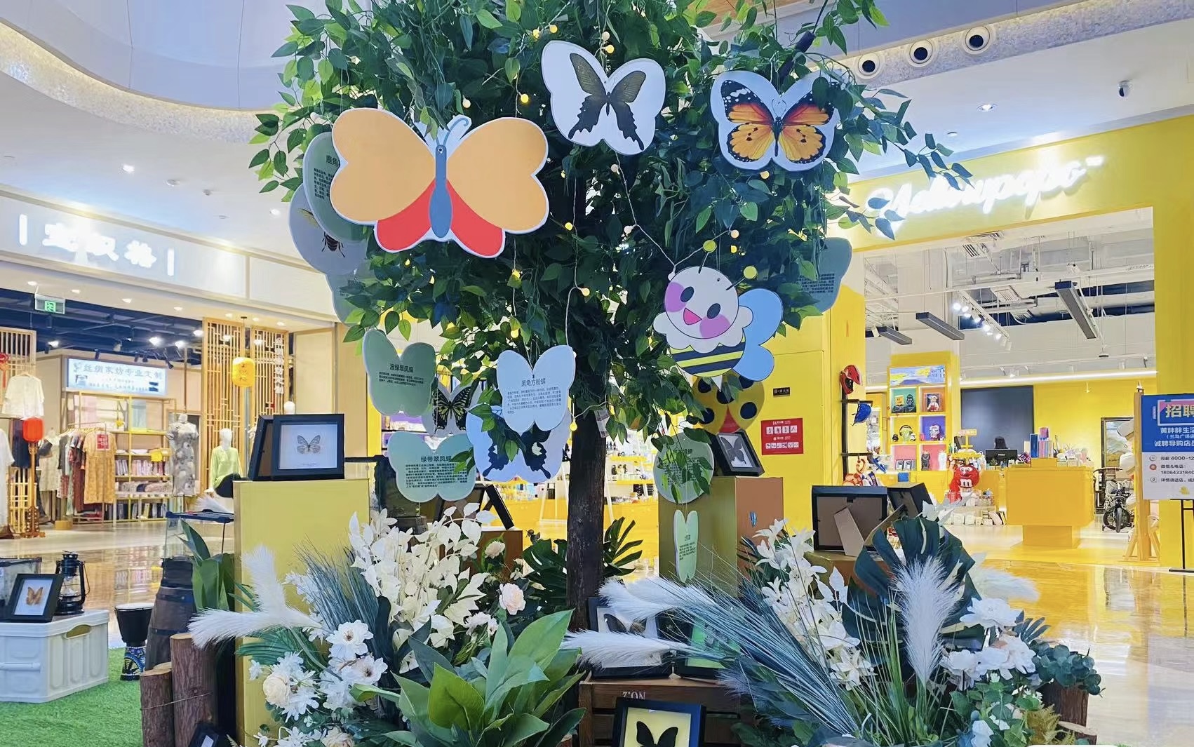 蝴蝶标本展览爬虫活体展览出租春季夏季好项