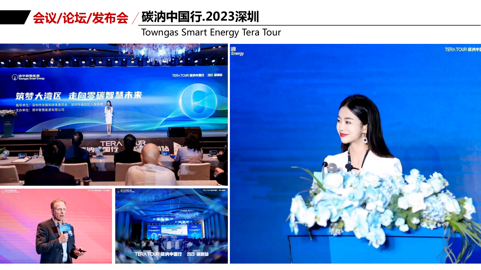 中英双语主持人陈澜（常驻地上海）
