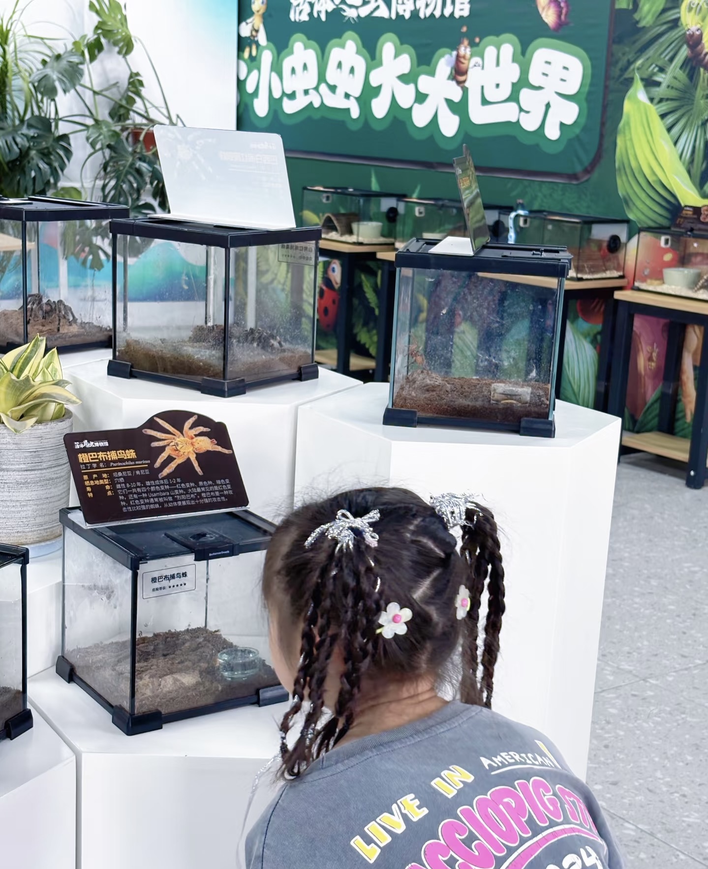 爬虫展览出租引流策划好资源一首资源出租