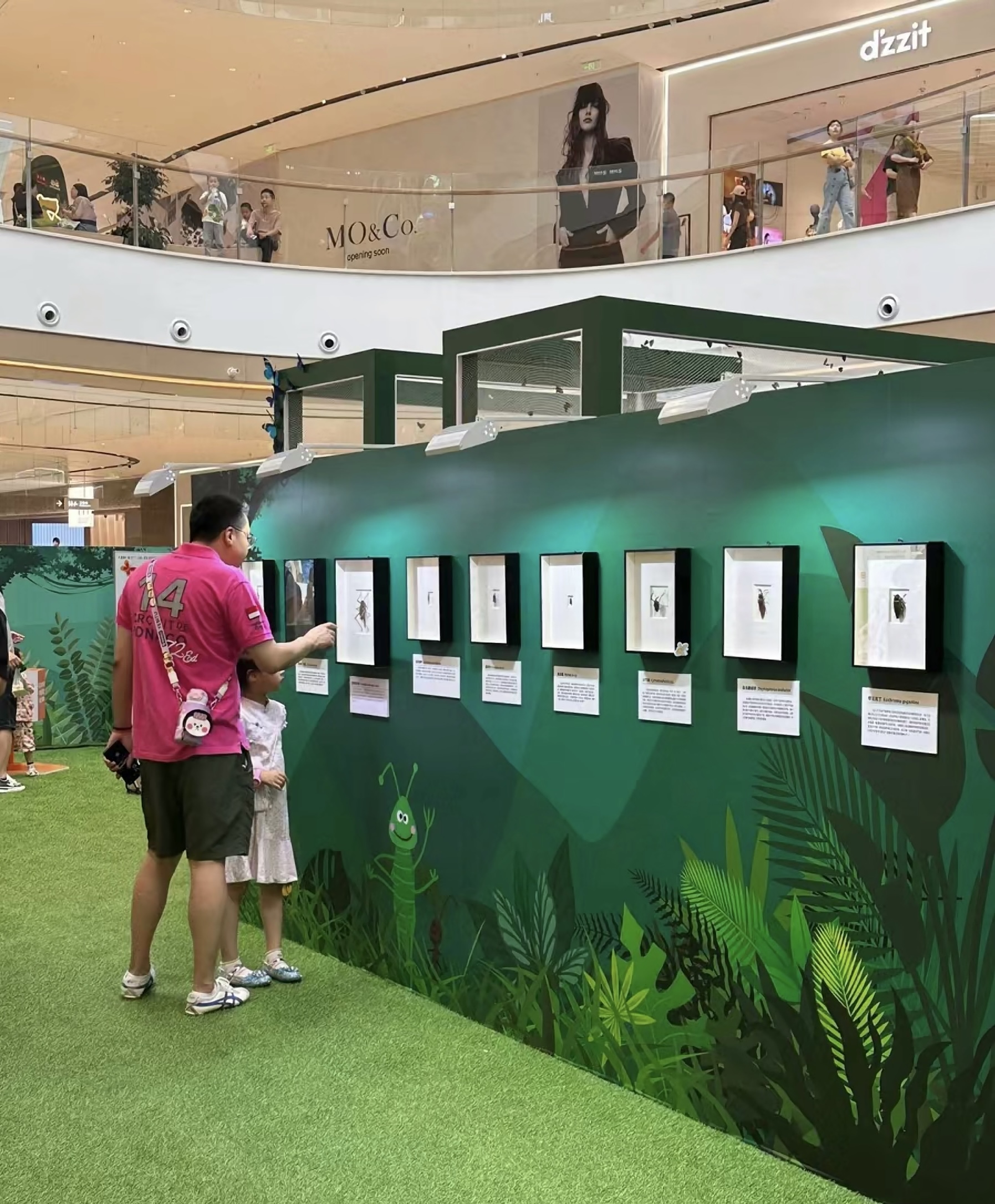 蝴蝶标本展览爬虫活体展览出租春季夏季好项