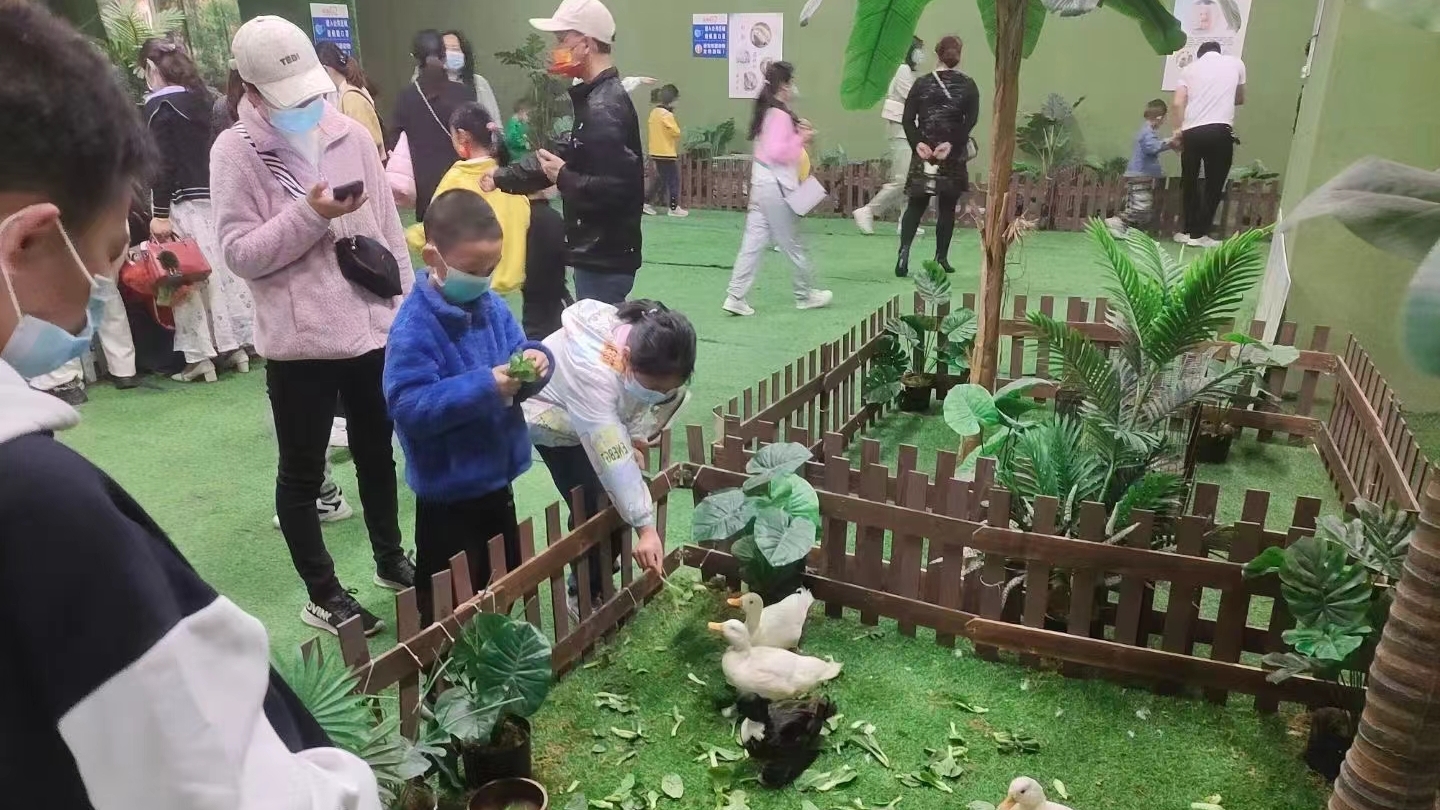萌宠动物展览租赁 羊驼矮马孔雀火鸡梅花鹿